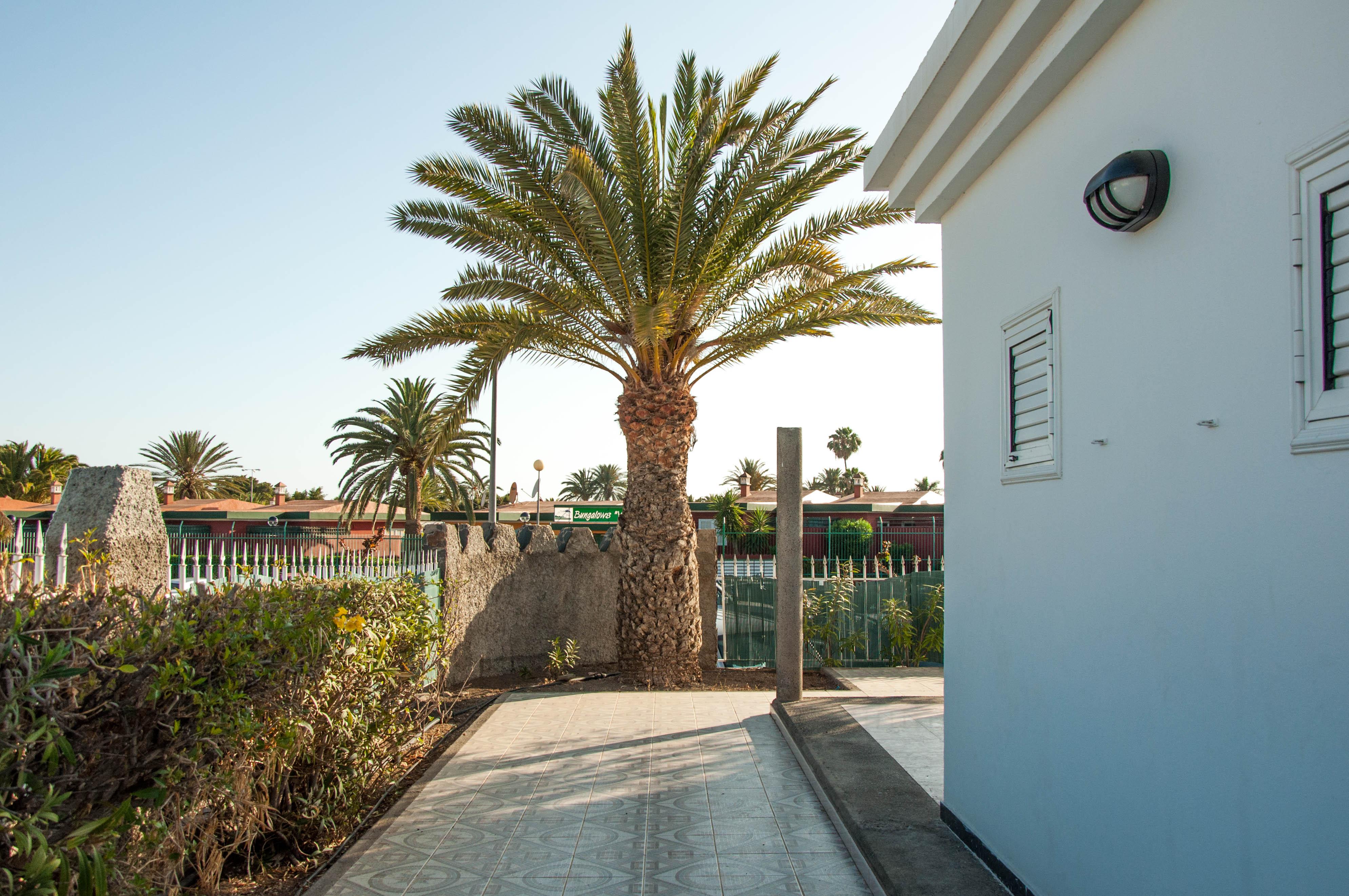 Bungalows Las Almenas Maspalomas  Exteriér fotografie