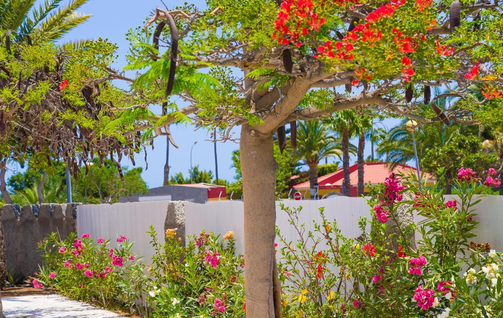 Bungalows Las Almenas Maspalomas  Exteriér fotografie
